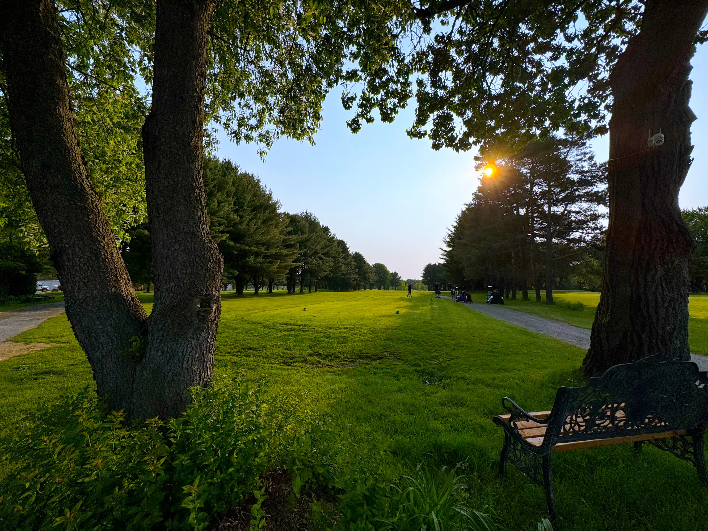 Allée ensoleillée du parcours des Patriotes bordée d'arbres, avec un banc au premier plan